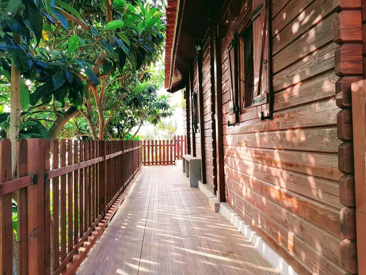 Cabana Los Palmeros, Vista Al Mar Y La Montana Alojera Ferienhaus
