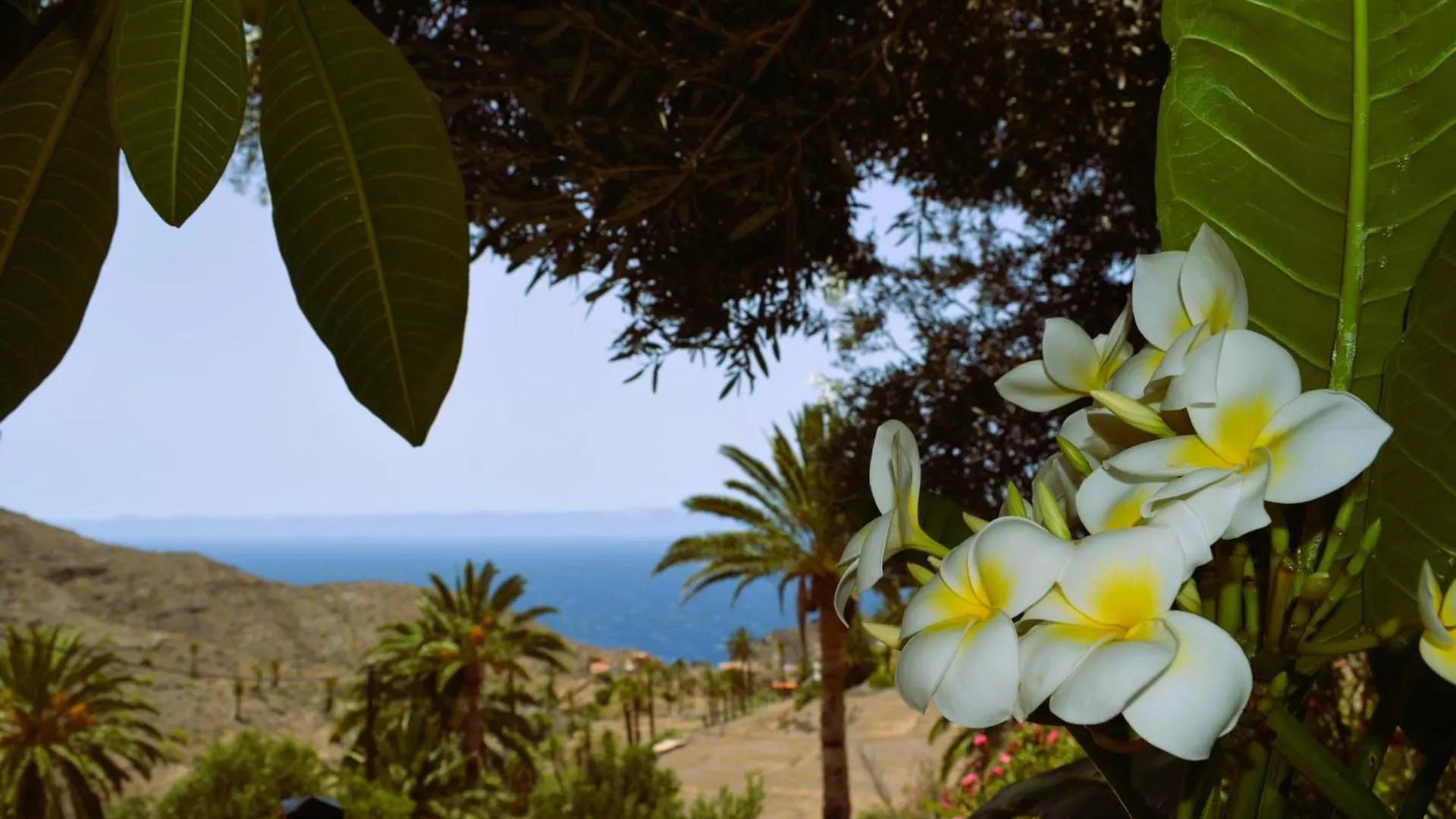 Cabana Los Palmeros, Vista Al Mar Y La Montana Alojera